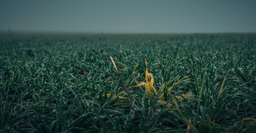 Фотографія Разное / Олександр Катков / photographers.ua