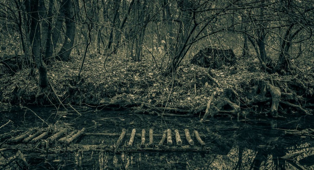 Фотографія Пейзаж / Олександр Катков / photographers.ua