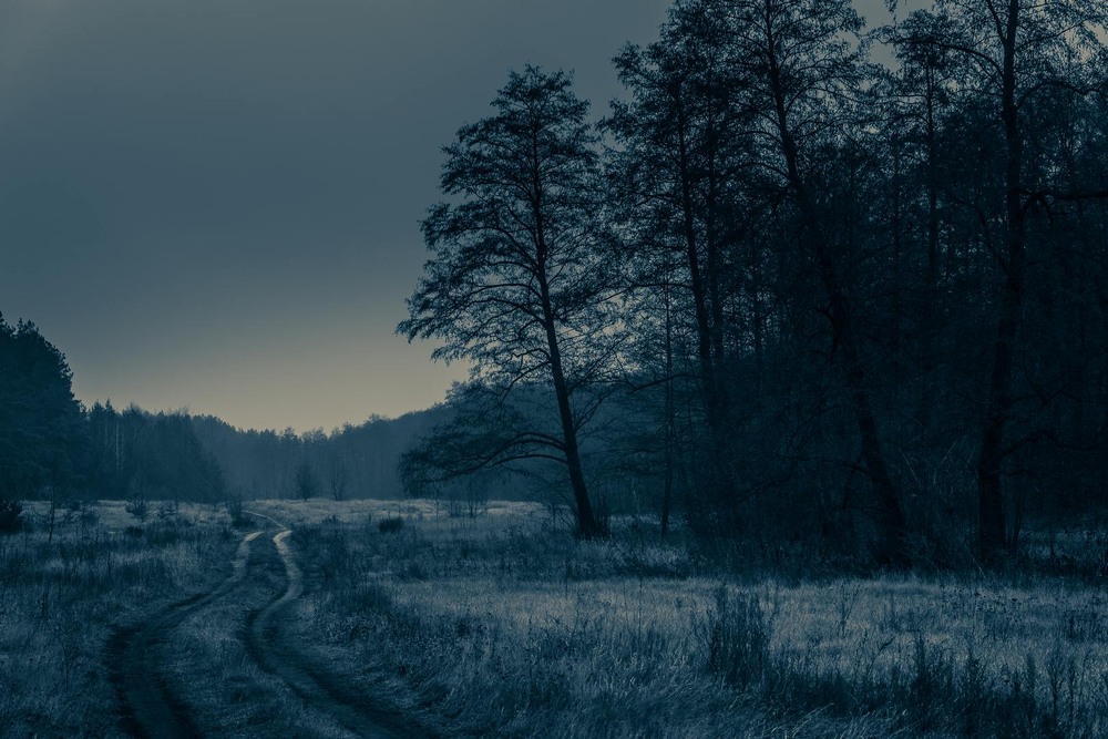 Фотографія Пейзаж / Олександр Катков / photographers.ua