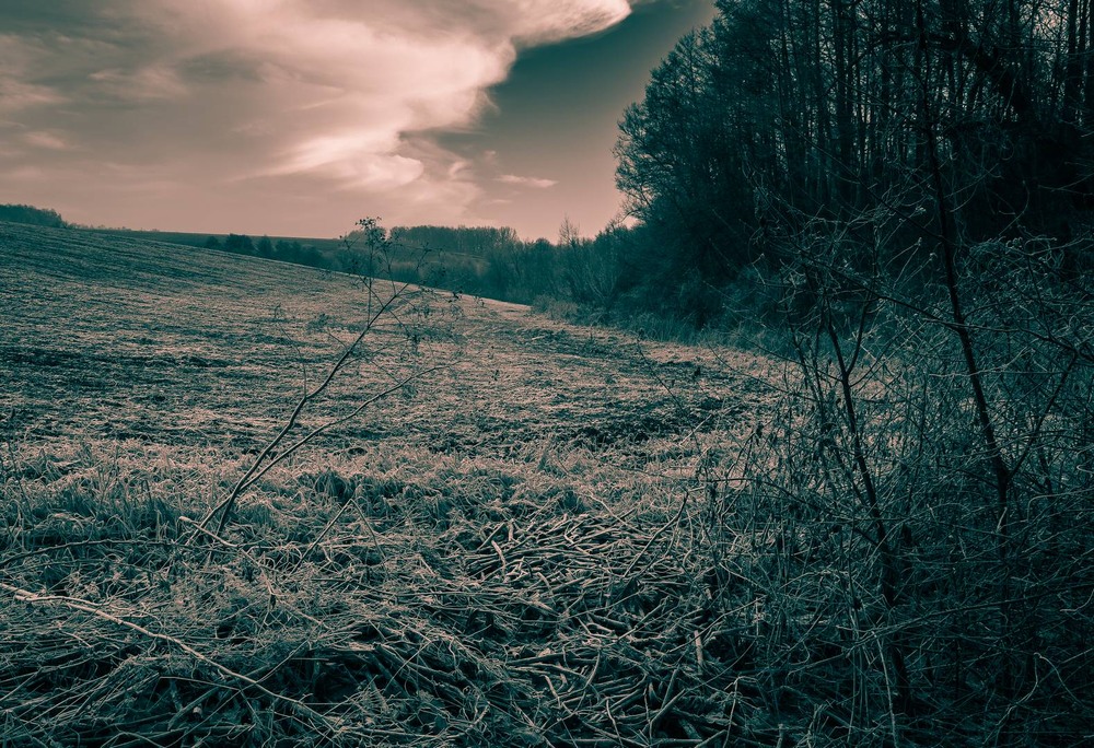 Фотографія Пейзаж / Олександр Катков / photographers.ua