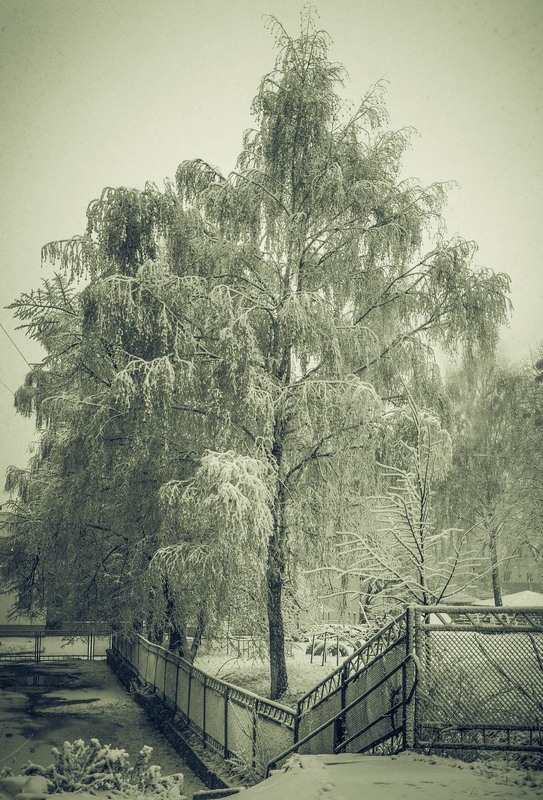 Фотографія Пейзаж / Олександр Катков / photographers.ua