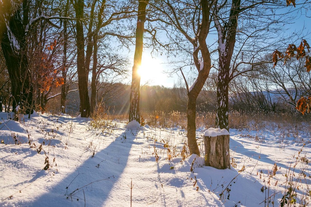Фотографія Пейзаж / Олександр Катков / photographers.ua