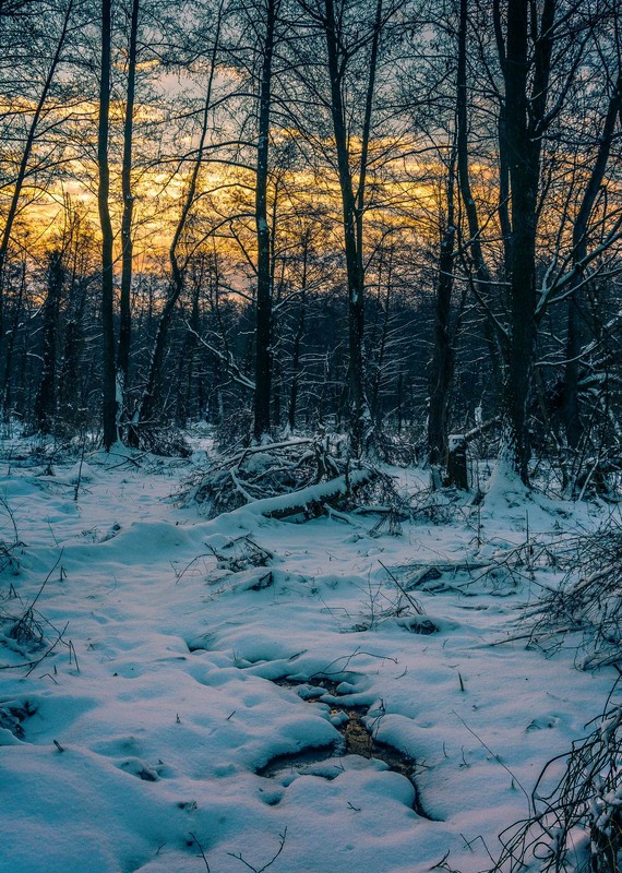 Фотографія Пейзаж / Олександр Катков / photographers.ua