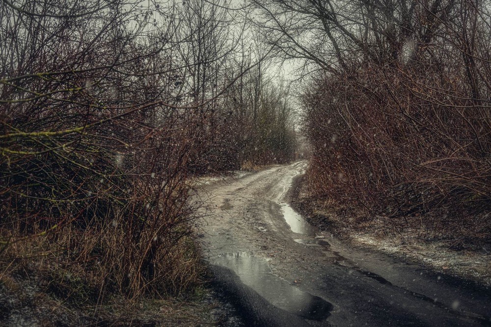 Фотографія Пейзаж / Олександр Катков / photographers.ua