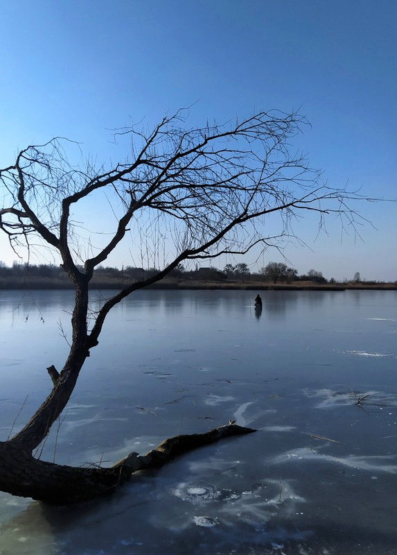 Фотографія Медитація / Olena Kapishinsky / photographers.ua