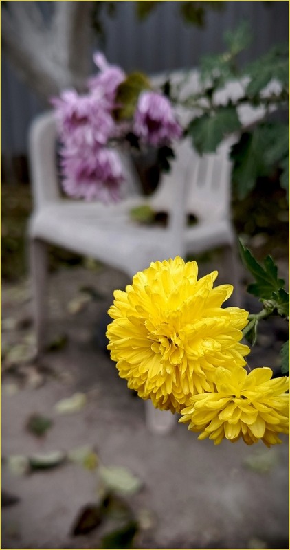 Фотографія Осінь, прощай / Olena Kapishinsky / photographers.ua