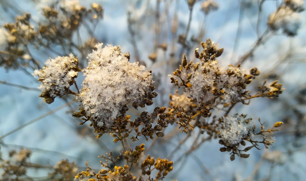 Фотографія Ми вистоїмо! / Olena Kapishinsky / photographers.ua