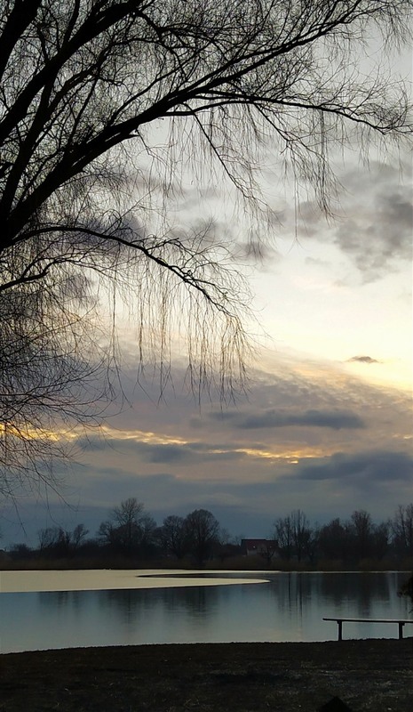 Фотографія Весняна / Olena Kapishinsky / photographers.ua