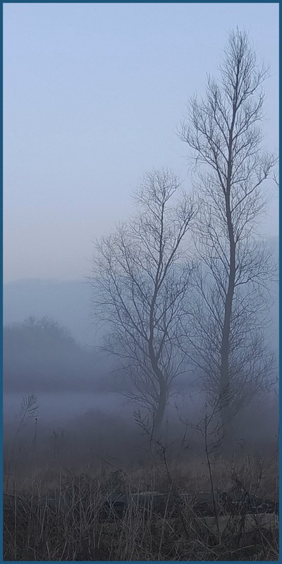 Фотографія В тумані / Olena Kapishinsky / photographers.ua