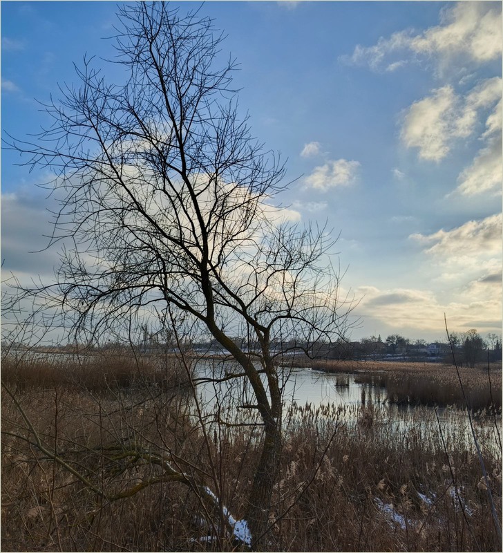 Фотографія Зима без снігу / Olena Kapishinsky / photographers.ua