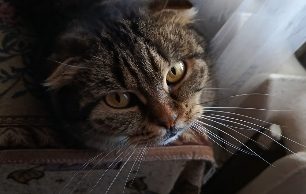 Фотографія Як ми пережили холодну зиму / Olena Kapishinsky / photographers.ua