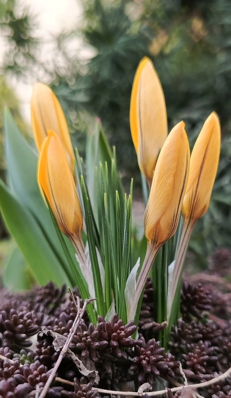 Фотографія Краса в простоті / Olena Kapishinsky / photographers.ua