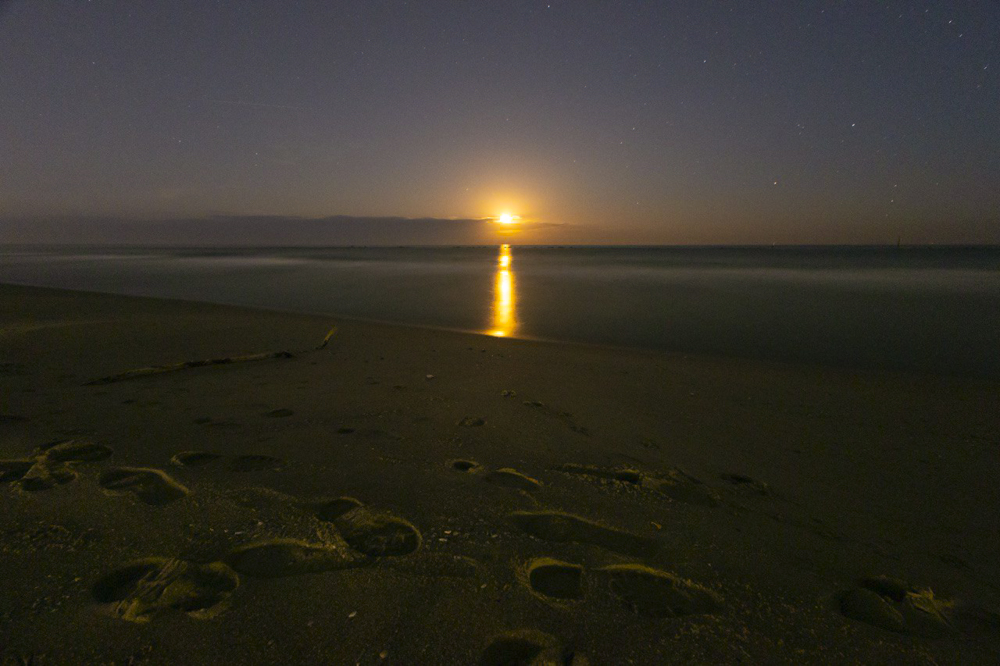 Фотографія Reflection of Silence / Dmytro UA / photographers.ua