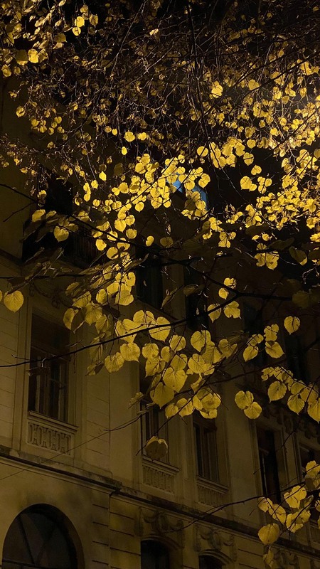 Фотографія Пейзаж / Катерина Репич / photographers.ua