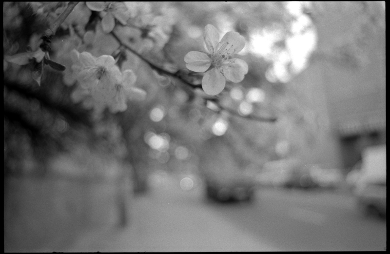 Фотографія Разное / Алексей Масюк / photographers.ua