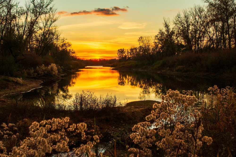 Фотографія Теплий вечір / Олександр Житник / photographers.ua