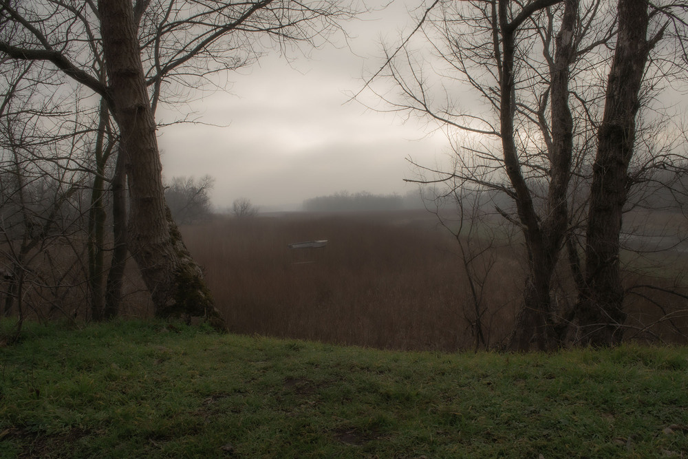 Фотографія Стежками Хортиці #8 / Олександр Житник / photographers.ua