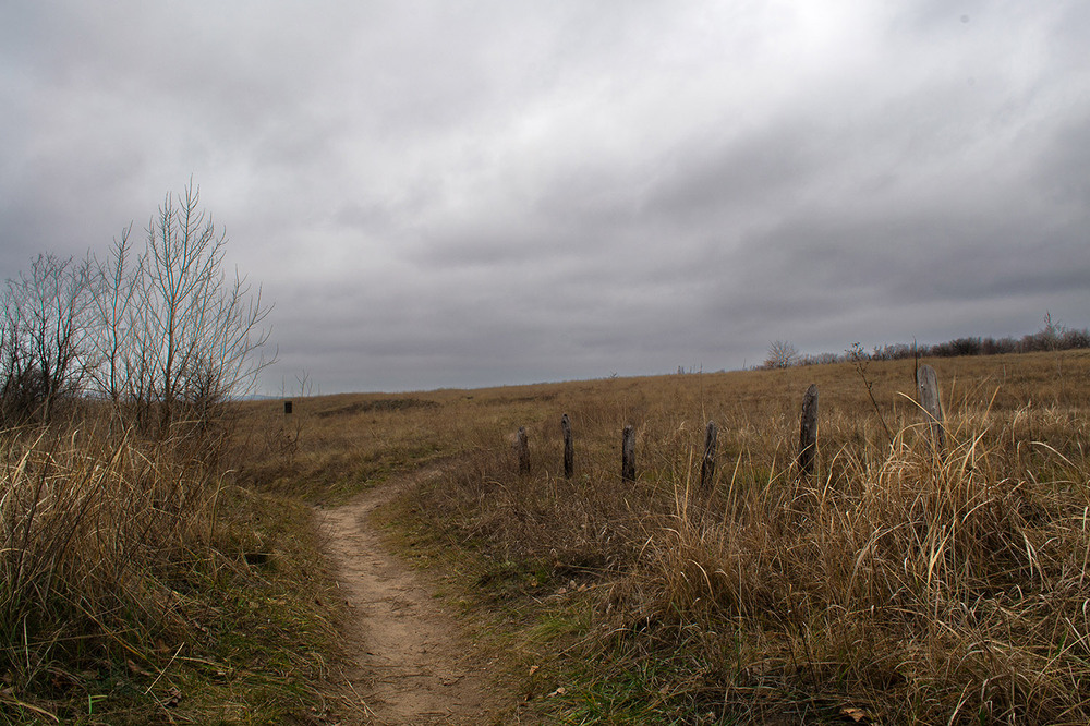 Фотографія Стежками Хортиці #2 / Олександр Житник / photographers.ua