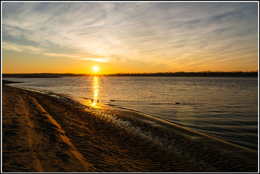 Фотографія Вечірнє сонце / Олександр Житник / photographers.ua