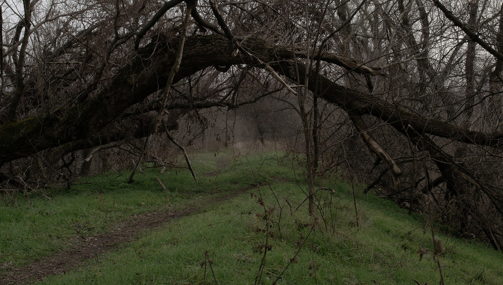 Фотографія Стежками Хортиці #10 / Олександр Житник / photographers.ua