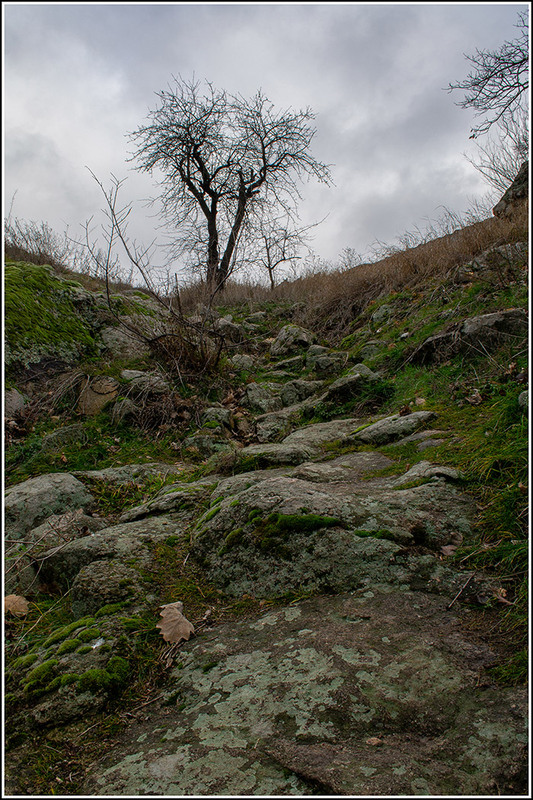 Фотографія Стежками Хортиці #4 / Олександр Житник / photographers.ua