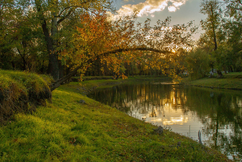 Фотографія Старий парк / Олександр Житник / photographers.ua