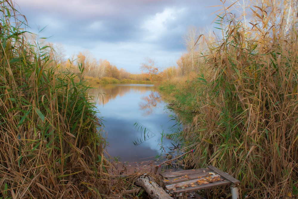 Фотографія На березі / Олександр Житник / photographers.ua