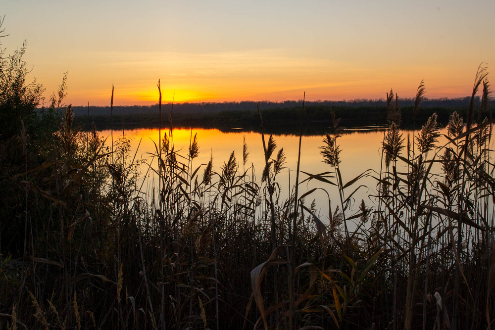 Фотографія Осінній вечір / Олександр Житник / photographers.ua