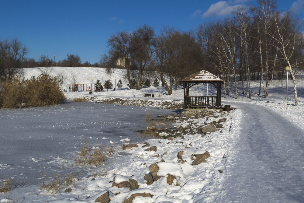 Фотографія Передноворічний настрій / Олександр Житник / photographers.ua