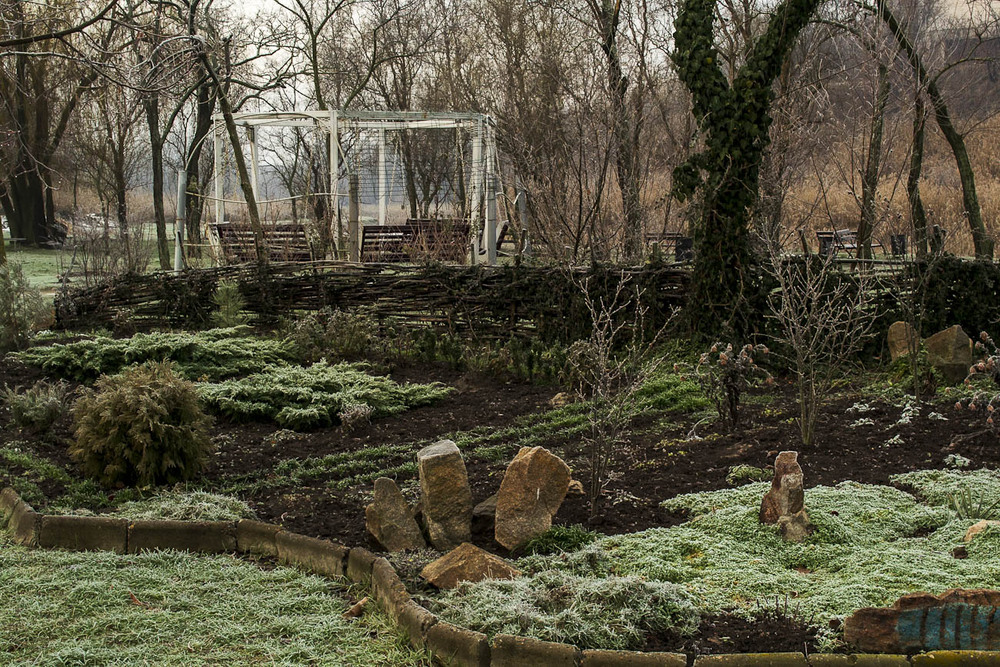 Фотографія Ранкова паморозь / Олександр Житник / photographers.ua