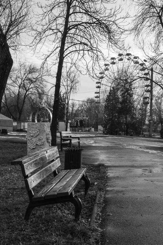 Фотографія Старий парк / Олександр Житник / photographers.ua