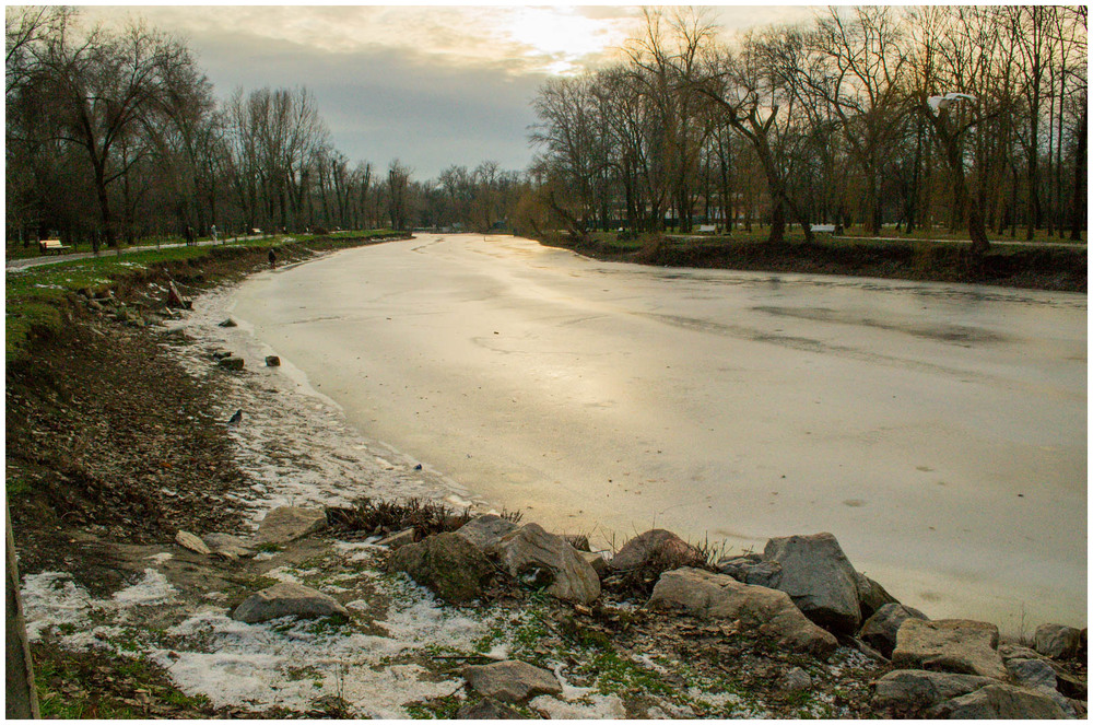 Фотографія Зимовий парк / Олександр Житник / photographers.ua