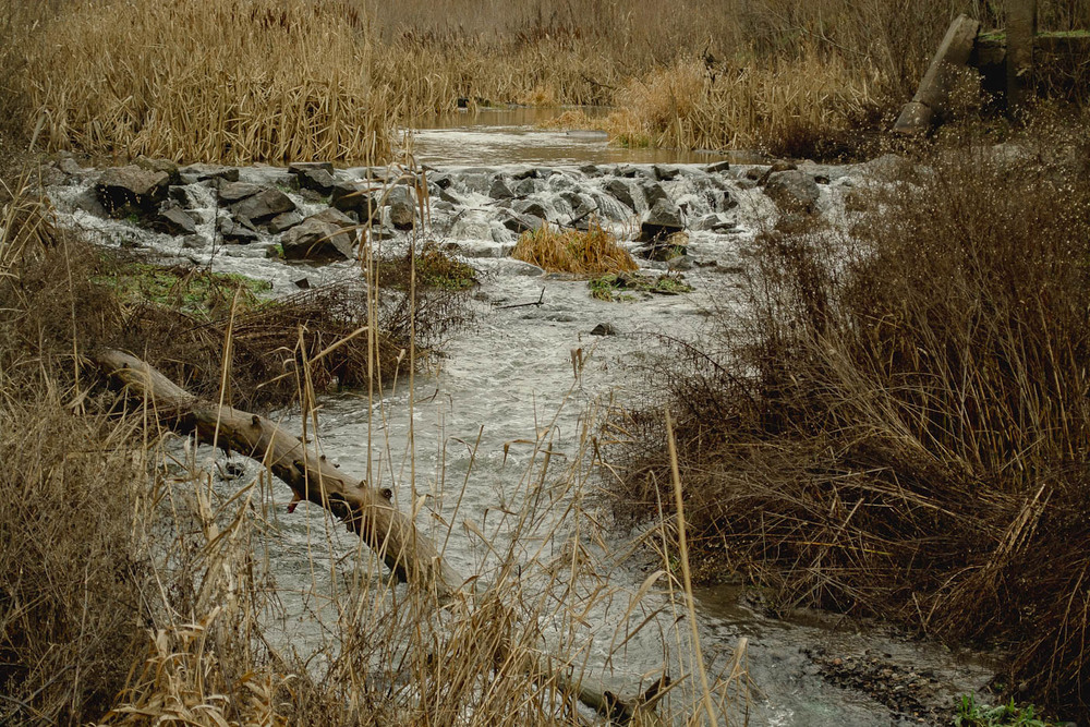 Фотографія Тече річка / Олександр Житник / photographers.ua