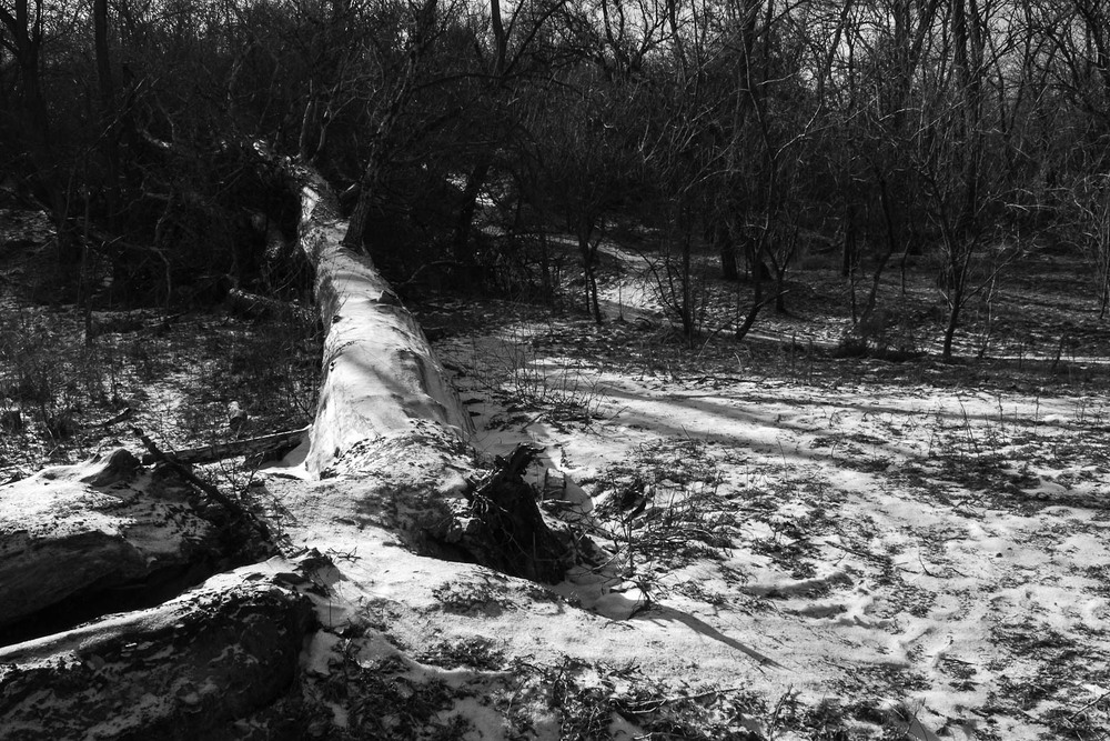 Фотографія Зимова / Олександр Житник / photographers.ua