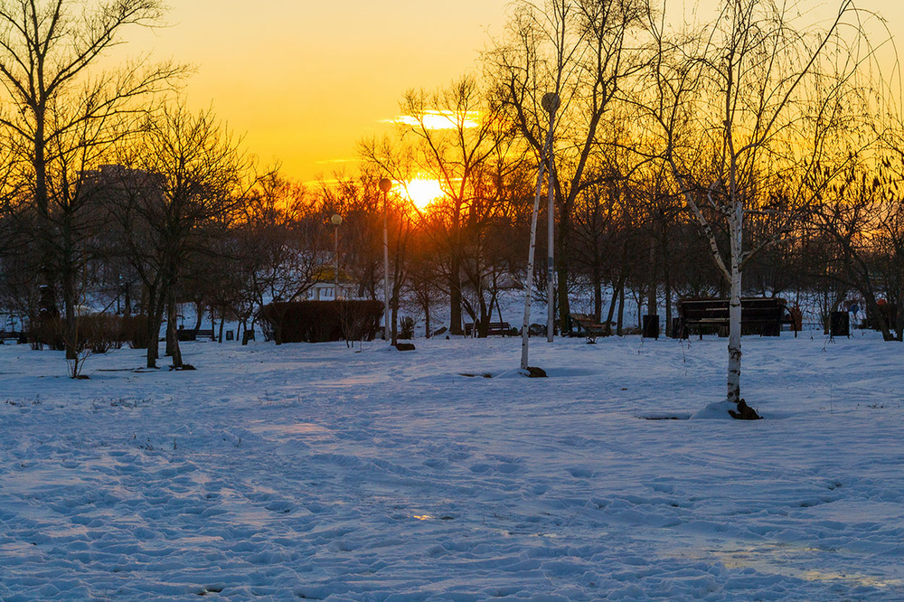 Фотографія Світанок.Парк.Нікого / Олександр Житник / photographers.ua