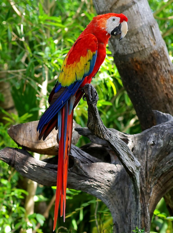 Фотографія Путешествие / Александр Перепелицын / photographers.ua
