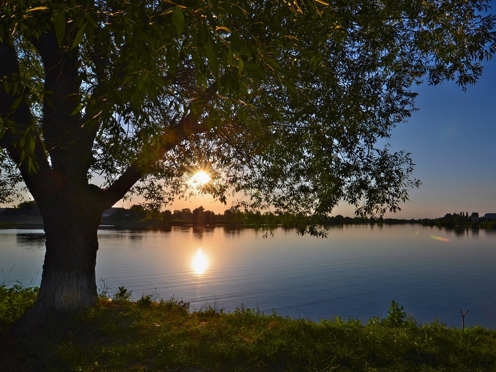 Фотографія Рідна Україна... / Александр Перепелицын / photographers.ua