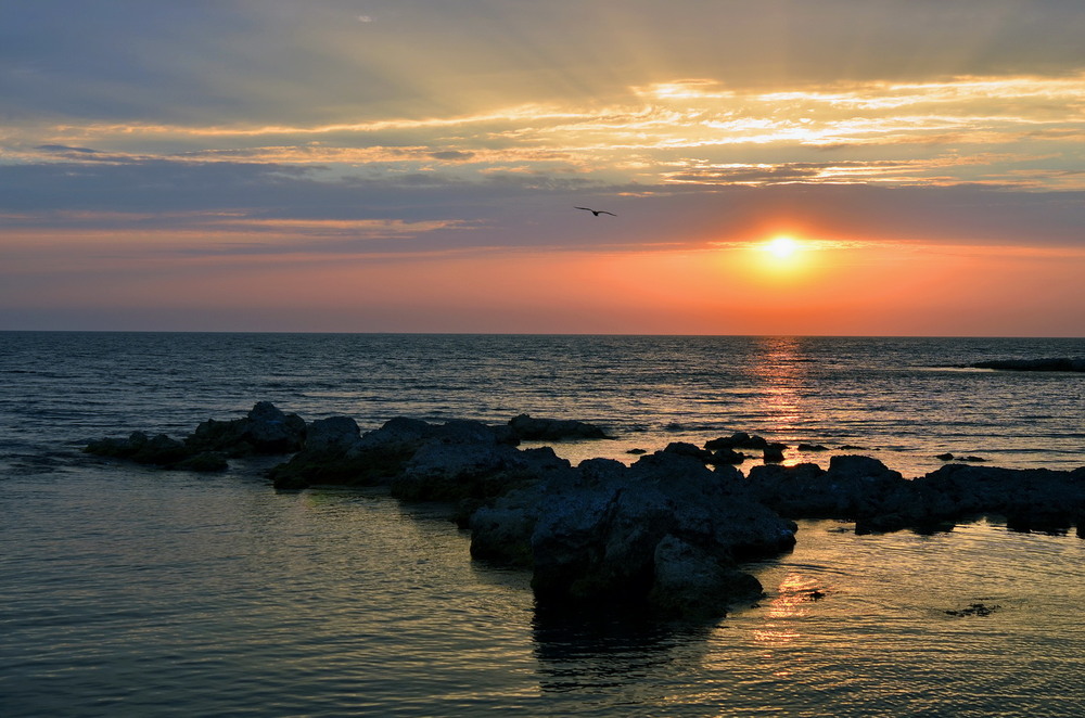 Фотографія Закат ... / Александр Перепелицын / photographers.ua