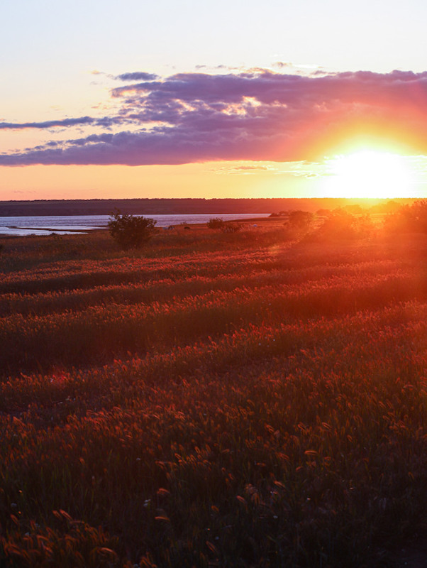 Фотографія Моє око / Зінькова Катерина / photographers.ua