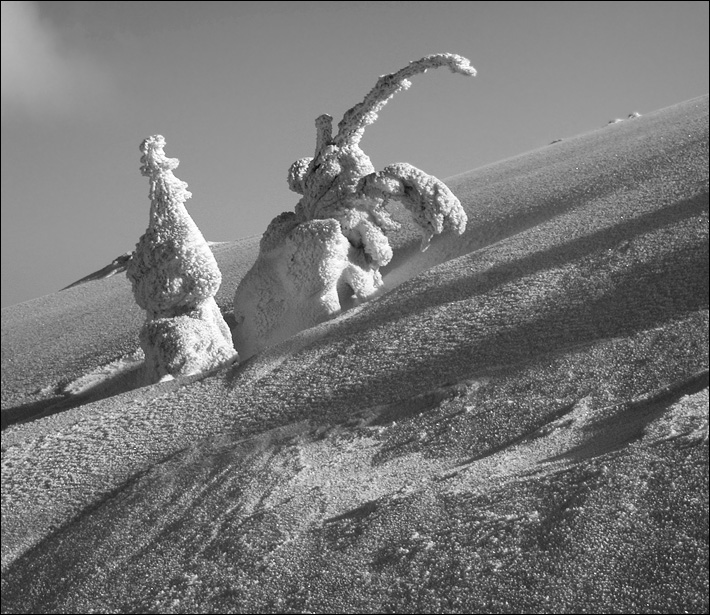 Фотографія Creation of the nature II / Вареник Валерий / photographers.ua