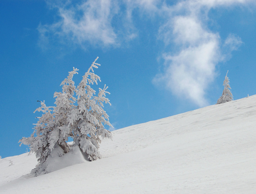 Фотографія And snow does not thaw / Вареник Валерий / photographers.ua