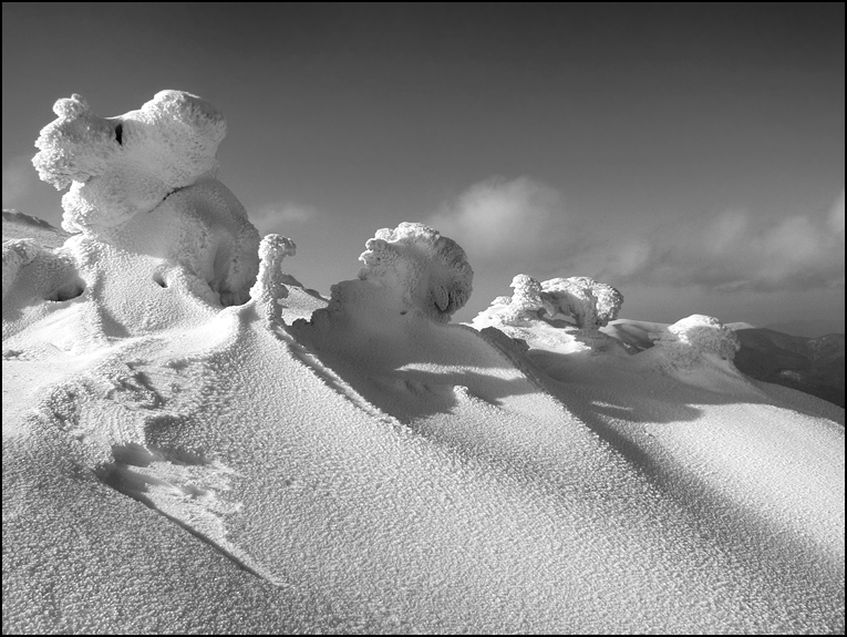 Фотографія Creation of the nature / Вареник Валерий / photographers.ua