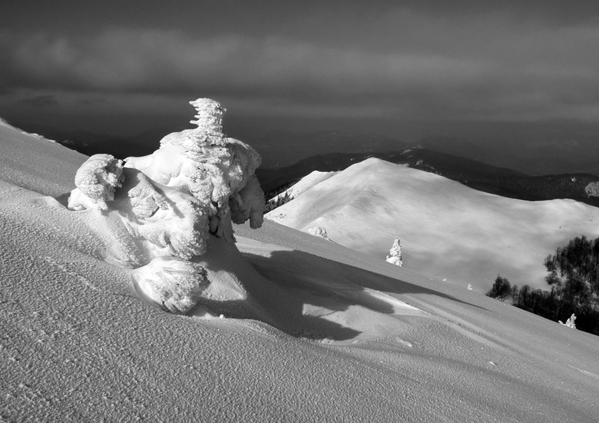 Фотографія Created by the nature / Вареник Валерий / photographers.ua