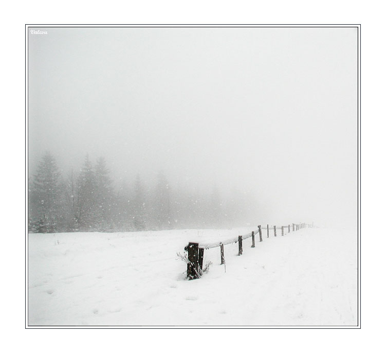 Фотографія The assistant on invisible road / Вареник Валерий / photographers.ua