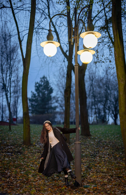 Фотографія "Листопадова призадума" / Андрій Майовець / photographers.ua