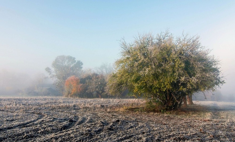 Фотографія +++ / Леонід Скоблунов / photographers.ua
