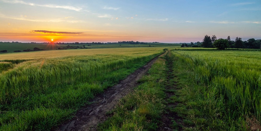 Фотографія +++ / Леонід Скоблунов / photographers.ua