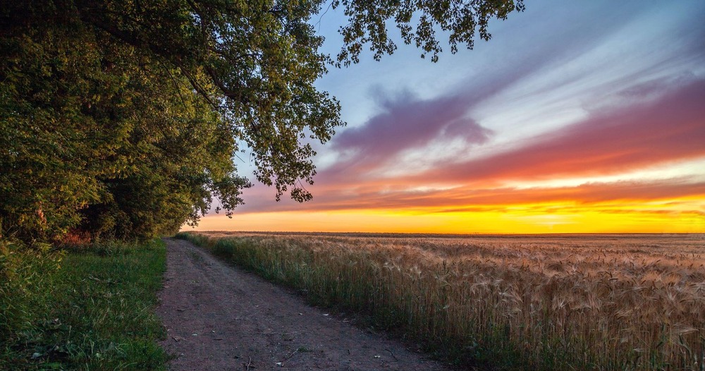 Фотографія +++ / Леонід Скоблунов / photographers.ua
