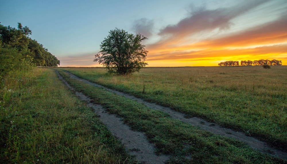 Фотографія Ранкові замальовкі / Леонід Скоблунов / photographers.ua