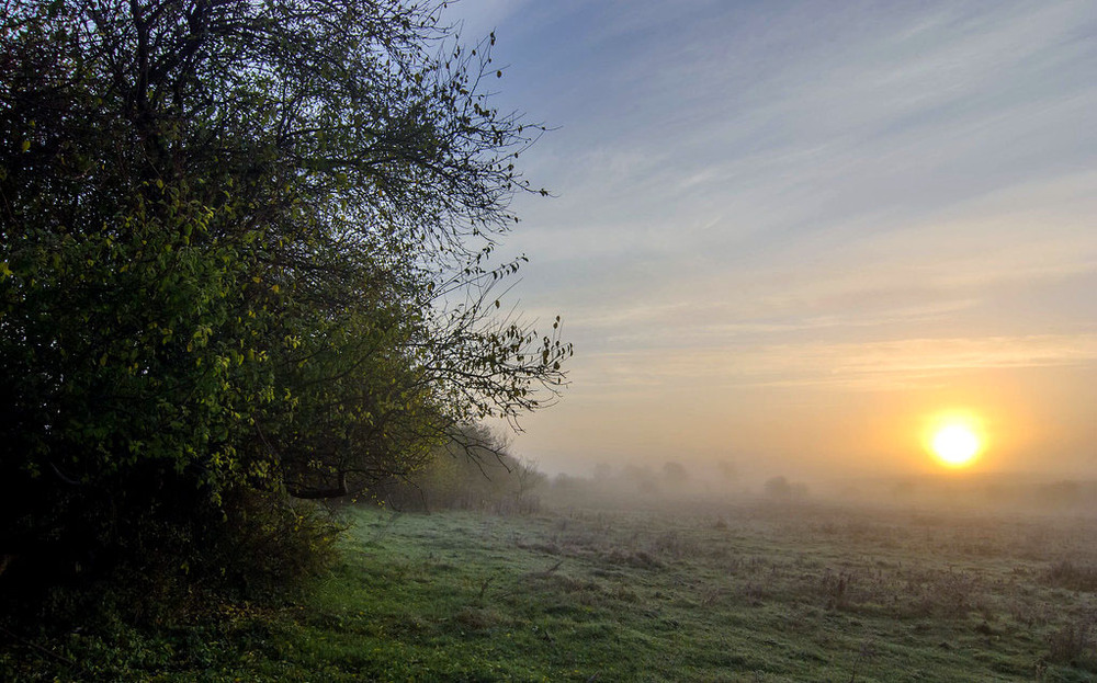 Фотографія Туманний ранок. / Леонід Скоблунов / photographers.ua